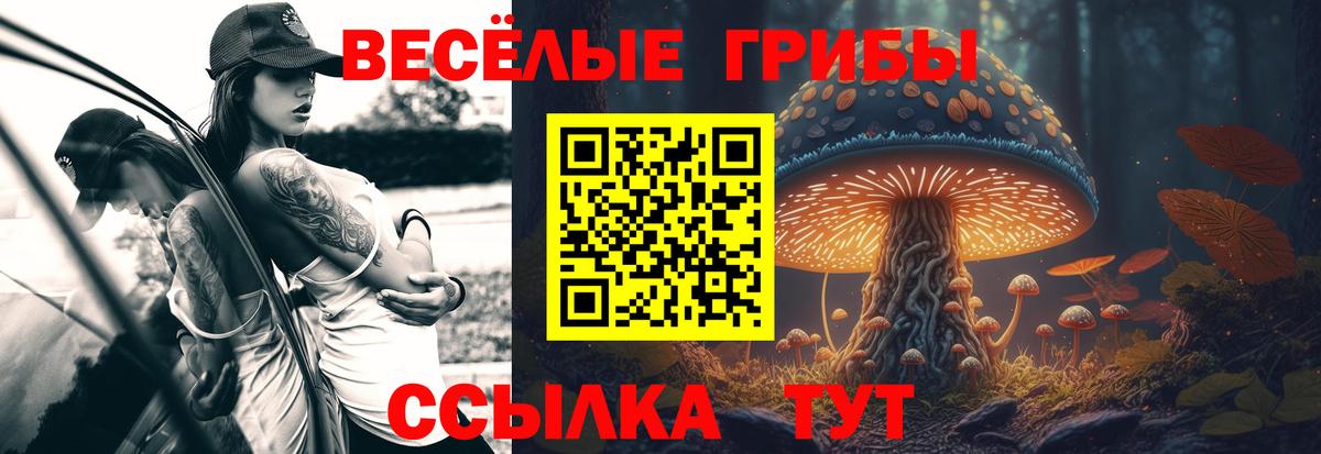 Михайловка  Псилоцибиновые грибы Psilocybine cubensis  купить наркоту  Вход с VPN 