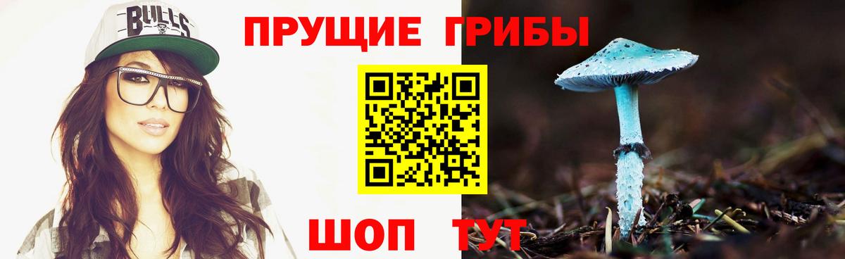 Псилоцибиновые грибы ЛСД Михайловка